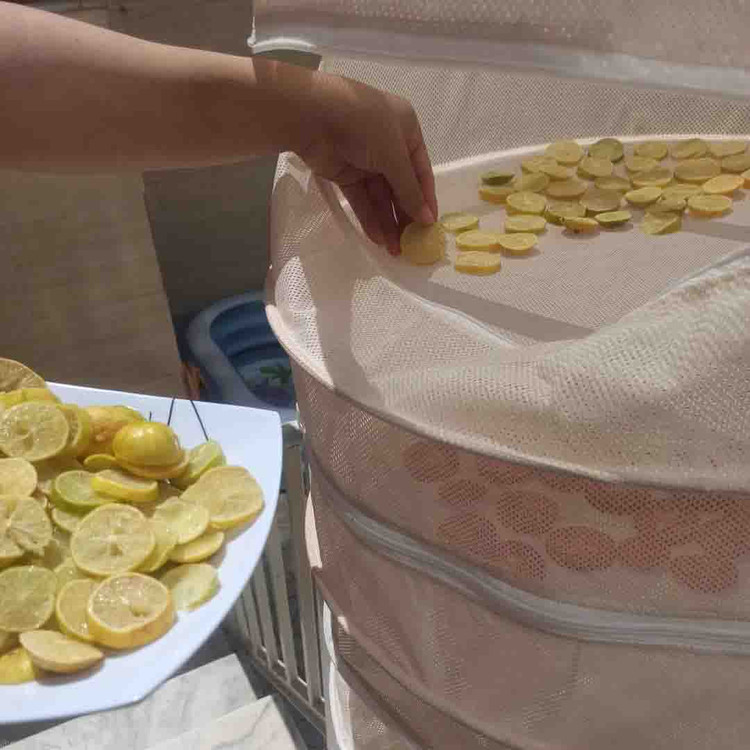 خرید انلاین توری میوه خشک کن