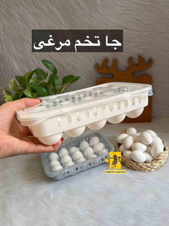 جا تخم مرغی